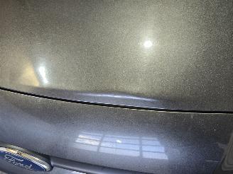 Ford Transit Connect 1.5 TDCi picture 13