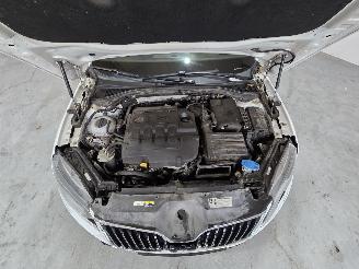 Skoda Superb 1.6 TDI Ambition Bns picture 18