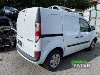 Renault Kangoo Kangoo Express (FW), Van, 2008 1.5 dCi 90 FAP picture 5