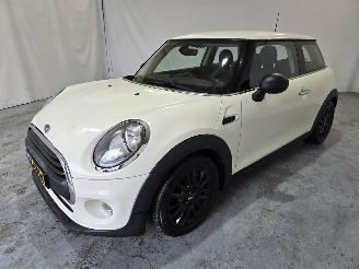 Mini One 1.2 Salt picture 3