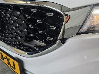 MG ZS EV Luxury 45 kWh picture 9