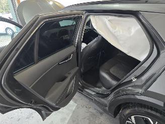 Kia Niro EV DynamicLine 64.8 kWh picture 27