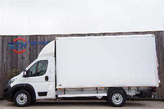 Avarii autoturisme Fiat Ducato 2.3 MJT Koffer Laadklep Airco Navi Cruise 103KW Euro 6 2021/2