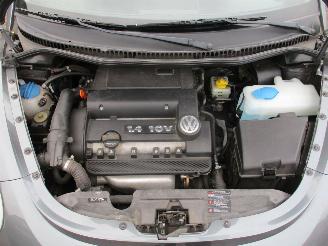 Volkswagen New-beetle 1.4-16V Trendline picture 32