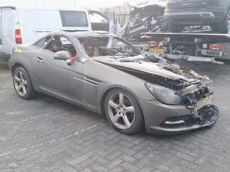 Mercedes SLK SLK (R172), Cabrio, 2011 / 2016 1.8 200 16V BlueEFFICIENCY picture 2