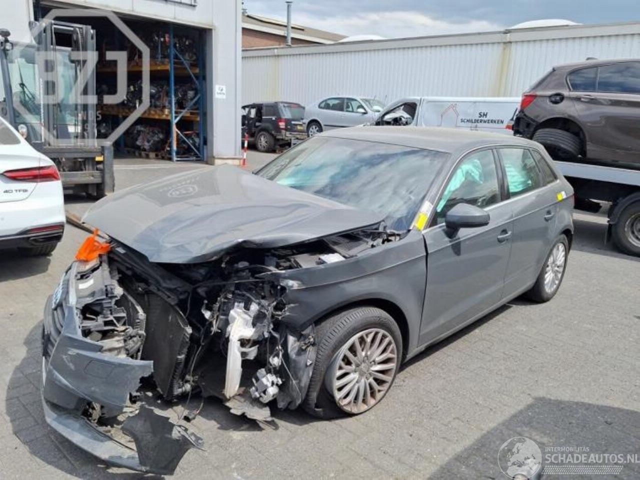 Audi A3 A3 Sportback (8VA/8VF), Hatchback 5-drs, 2012 / 2020 1.0 TFSI 12V