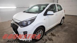 demontáž osobní automobily Kia Picanto Picanto (JA), Hatchback, 2017 1.0 DPi 12V 2023/6