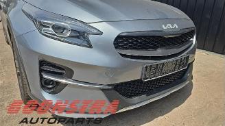 Kia Xceed Xceed, SUV, 2019 1.0 T-GDi 12V picture 8