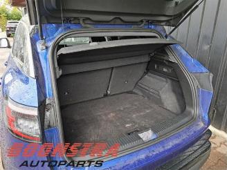 Renault Austral 1.2 Mild Hybrid Advanced 130 picture 22