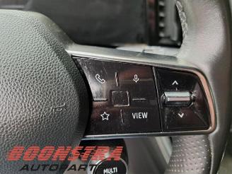 Renault Austral 1.2 Mild Hybrid Advanced 130 picture 21