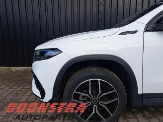 Mercedes EQA EQA (N243), SUV, 2021 250 67 kWh picture 33