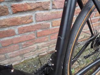 Trek  Domane picture 4