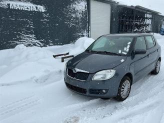 Skoda Fabia Fabia II (5J), Hatchback 5-drs, 2006 / 2014 1.4 TDI 80 picture 7