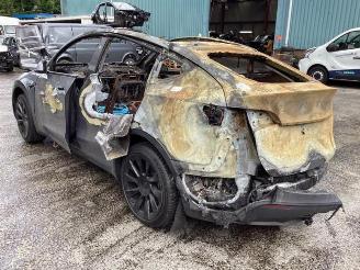 Tesla Model Y Model Y (5YJY), SUV, 2019 Long Range,Performance picture 7