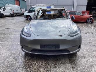 Tesla Model Y Model Y (5YJY), SUV, 2019 Long Range,Performance picture 2