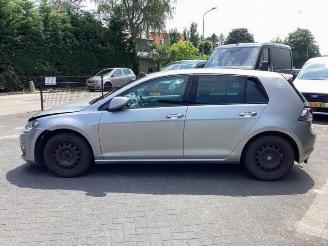 Volkswagen Golf Golf VII (AUA), Hatchback, 2012 / 2021 1.6 TDI BlueMotion 16V picture 8