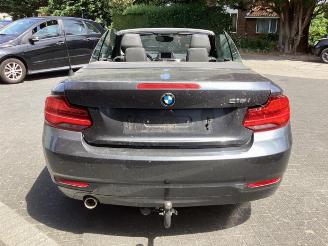 BMW 2-serie 2 serie (F23), Cabrio, 2014 / 2021 218i 1.5 TwinPower Turbo 12V picture 6
