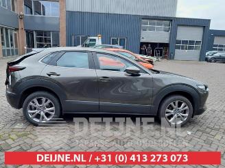 Mazda CX-30 CX-30 (DM), SUV, 2019 2.0 e-SkyActiv X 186 M Hybrid 16V picture 8