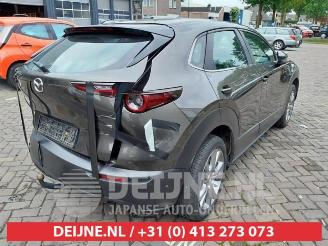 Mazda CX-30 CX-30 (DM), SUV, 2019 2.0 e-SkyActiv X 186 M Hybrid 16V picture 7