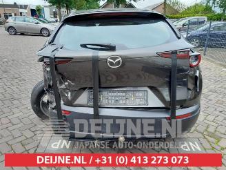 Mazda CX-30 CX-30 (DM), SUV, 2019 2.0 e-SkyActiv X 186 M Hybrid 16V picture 6