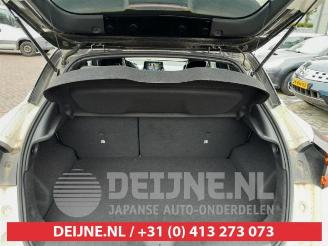 Nissan Juke Juke (F16), SUV, 2019 1.0 DIG-T 117 12V picture 14