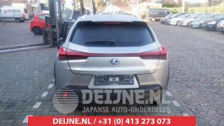 Lexus UX UX, SUV, 2019 250h 2.0 16V picture 4