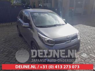 Vrakbiler auto Kia Picanto Picanto (JA), Hatchback, 2017 1.0 DPi 12V 2021/3