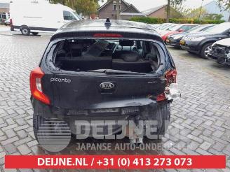 Kia Picanto Picanto (JA), Hatchback, 2017 1.0 12V picture 6