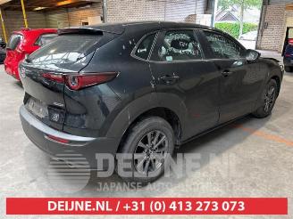 Mazda CX-30 CX-30 (DM), SUV, 2019 2.0 e-SkyActiv-G 122 16V picture 7