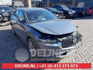 Mazda CX-30 CX-30 (DM), SUV, 2019 2.0 e-SkyActiv-G 122 16V picture 1