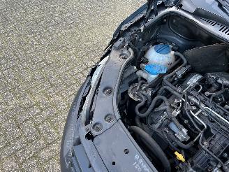 Volkswagen Caddy maxi 1.6 tdi 75kw picture 17