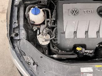 Volkswagen Passat Station 1.6 TDI Executive Navi Clima picture 15