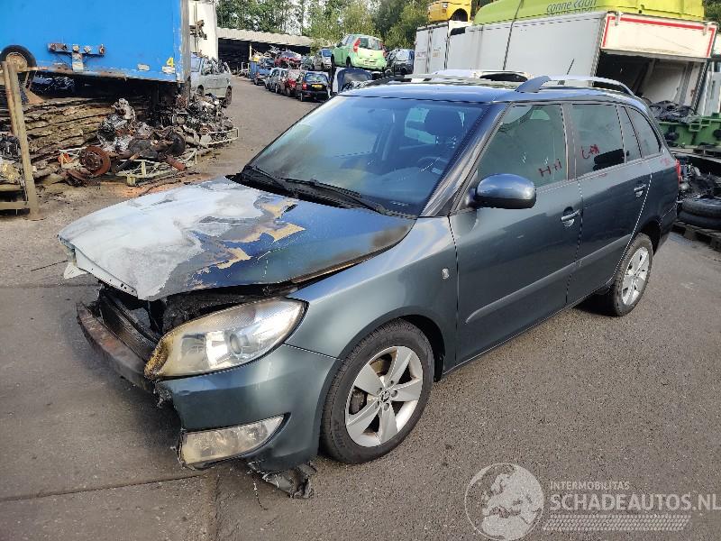 Skoda Fabia Fabia II Combi Combi 5-drs 1.2 TSI (CBZA) [63kW]  (03-2010/12-2014)