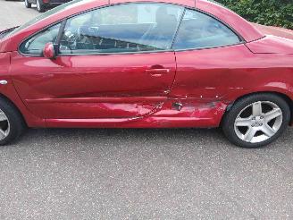 Peugeot 307 307 CC (3B) Cabrio 2.0 16V (EW10J4S(RFK)) [130kW] picture 5