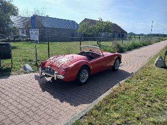 MG  mga 1600 cabrio picture 3