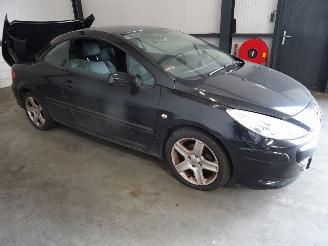 Peugeot 307 2.0 16V CABRIO picture 2