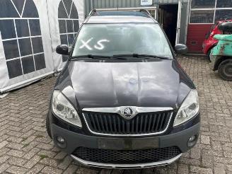 Skoda Roomster Roomster (5J), MPV, 2006 / 2015 1.6 TDI 16V picture 2