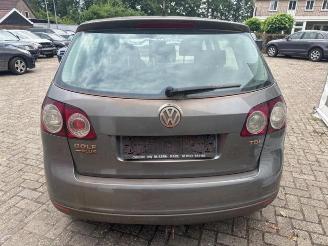 Volkswagen Golf plus Golf Plus (5M1/1KP), MPV, 2005 / 2013 1.9 TDI 105 picture 6