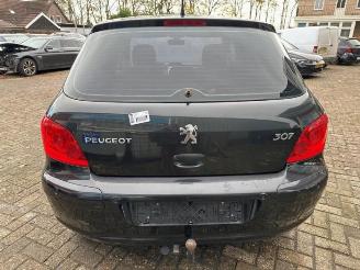 Peugeot 307 307 (3A/C/D), Hatchback, 2000 / 2009 2.0 16V picture 6