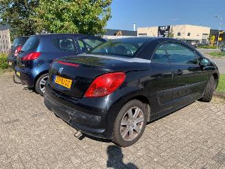 Peugeot 207  picture 6