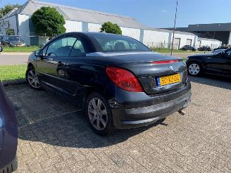 Peugeot 207  picture 9