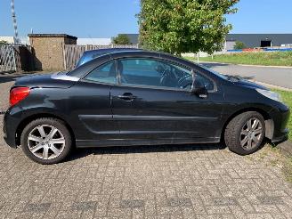 Peugeot 207  picture 4