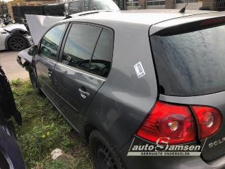 Volkswagen Golf Golf V (1K1), Hatchback, 2003 / 2010 1.6 picture 4