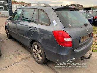 Skoda Fabia Fabia II Combi, Combi 5-drs, 2007 / 2015 1.2 TDI 12V Greenline picture 4