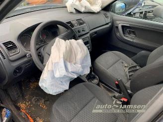 Skoda Fabia Fabia II Combi, Combi 5-drs, 2007 / 2015 1.2 TDI 12V Greenline picture 5