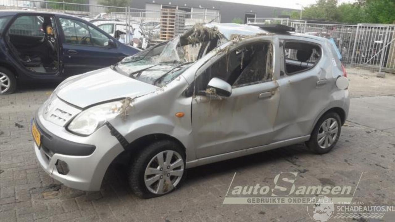 Nissan Pixo Pixo (D31S), Hatchback, 2009 1.0 12V