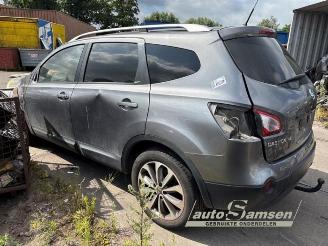 Nissan Qashqai+2 Qashqai +2 (JJ10E), SUV, 2007 / 2014 2.0 16V picture 5