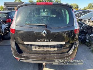 Renault Grand-scenic Grand Scenic III (JZ), MPV, 2009 / 2016 1.2 16V TCe 130 picture 6