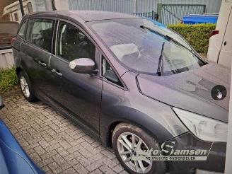 Ford Grand C-Max Grand C-Max (DXA), MPV, 2010 / 2019 1.0 Ti-VCT EcoBoost 12V 125 picture 10