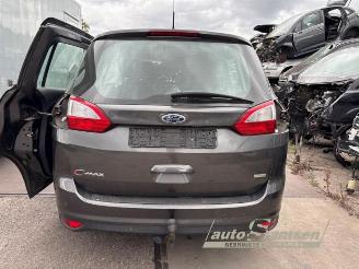 Ford Grand C-Max Grand C-Max (DXA), MPV, 2010 / 2019 1.0 Ti-VCT EcoBoost 12V 125 picture 22